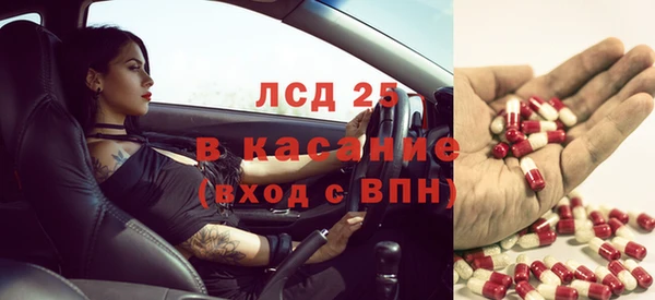 гидропоника Алзамай