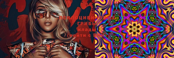 бошки Алексин