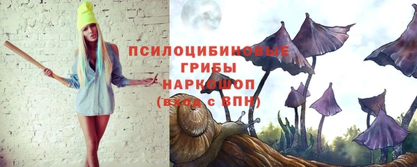 гидропоника Алзамай