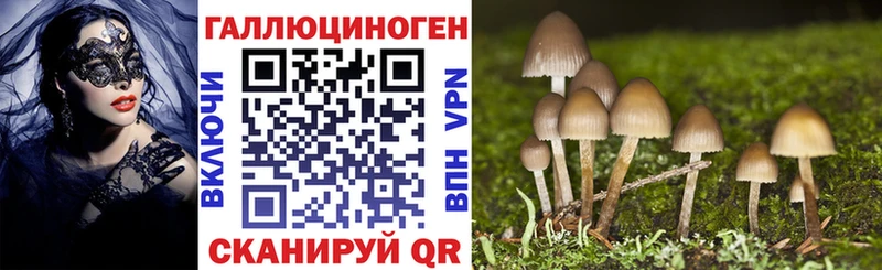 Псилоцибиновые грибы Psilocybe  даркнет сайт  кракен ССЫЛКА  Арамиль 